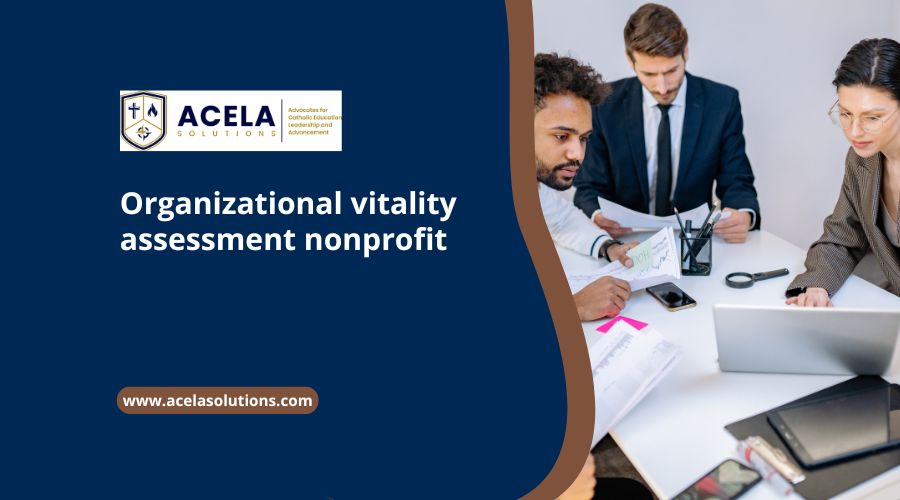 Organizational vitality assessment nonprofit