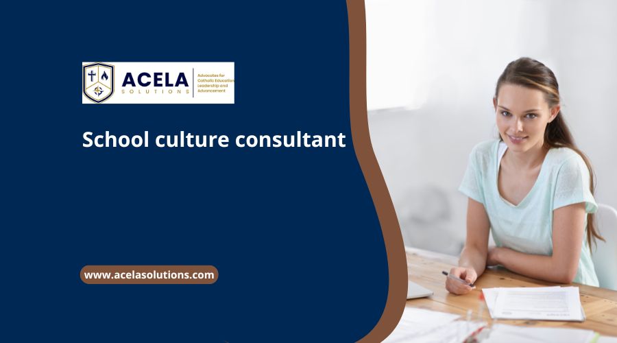 School culture consultant