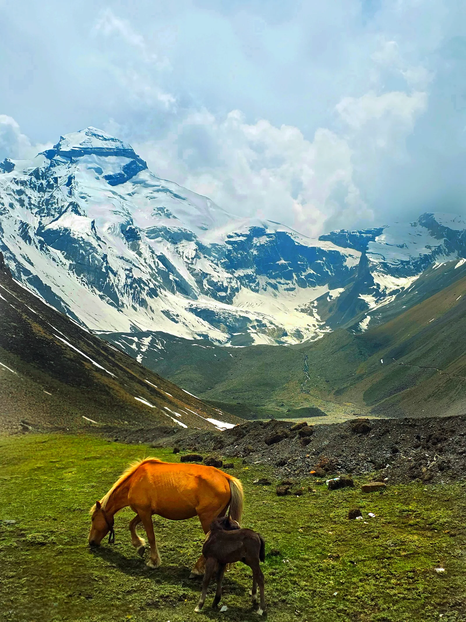 Adi Kailash yatra Adi Kailash & Om Parvat 2026 - photo 6
