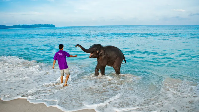 Andaman & Nicobar trek view 5