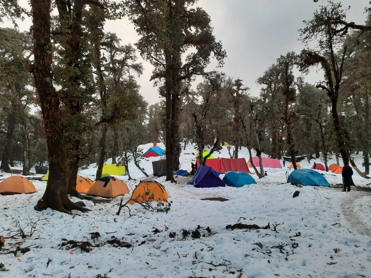 brahmatal trek from rishikesh trek view 3 - trekking trail