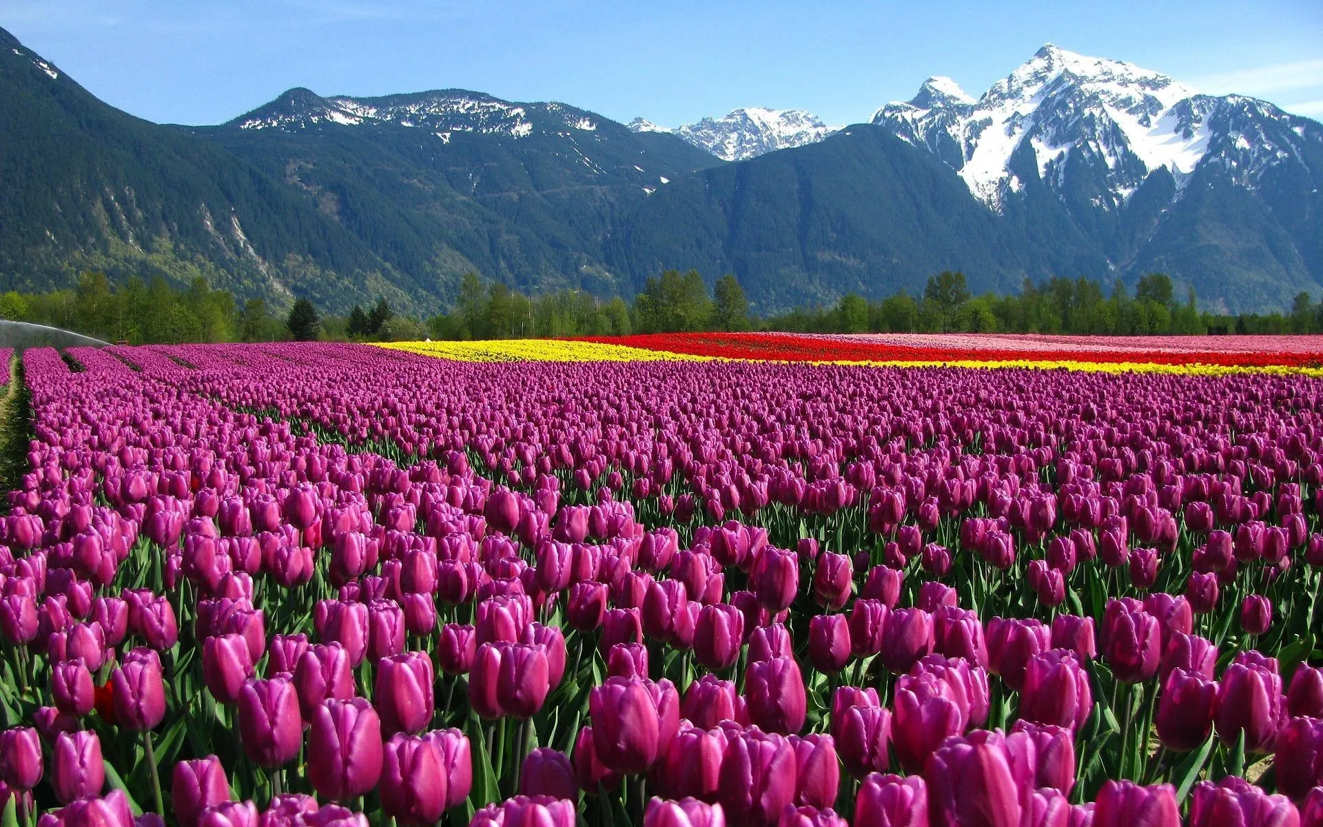 Explore Kashmir trek view 3