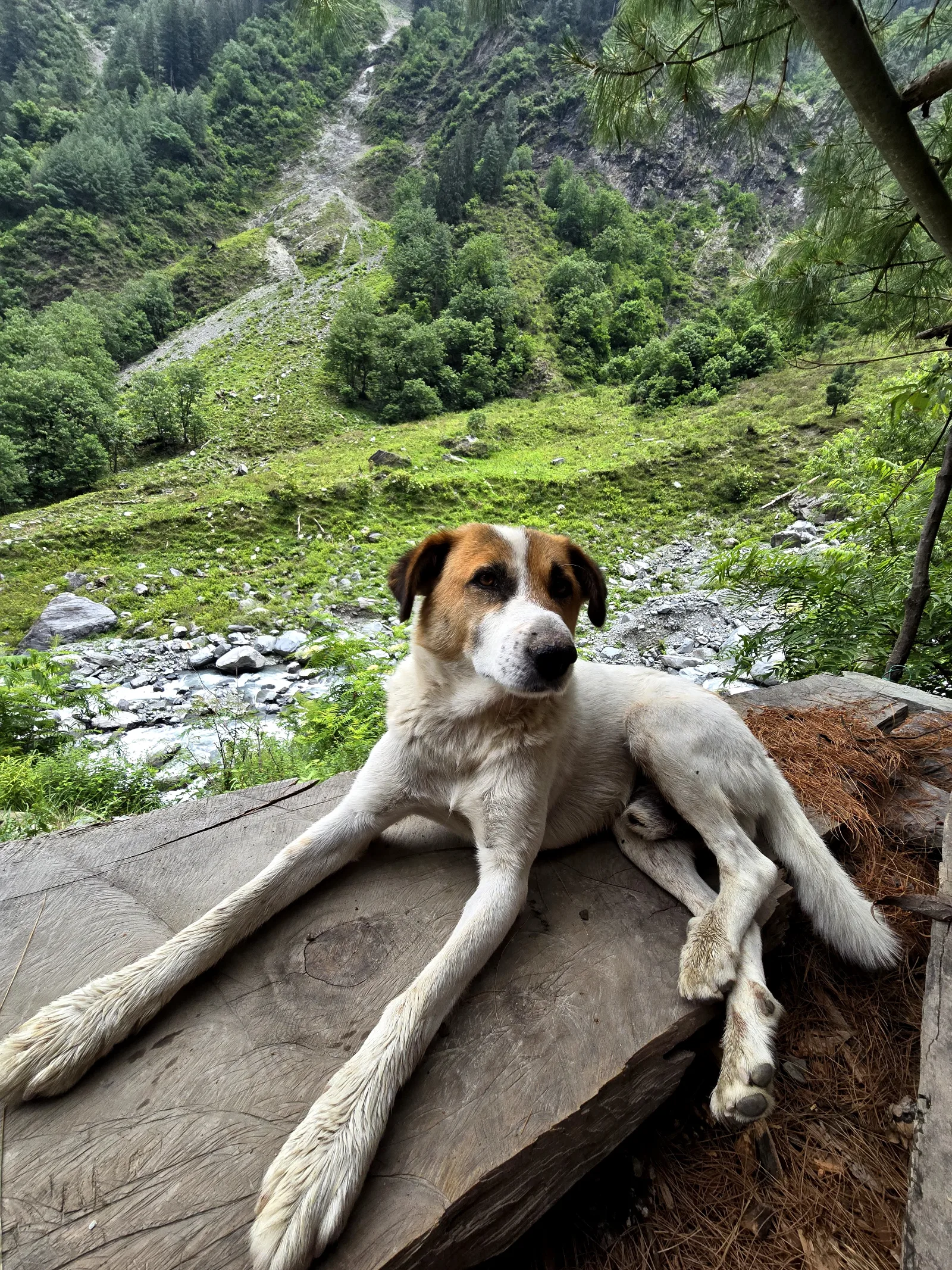 Kailash Manimahesh - photo 6