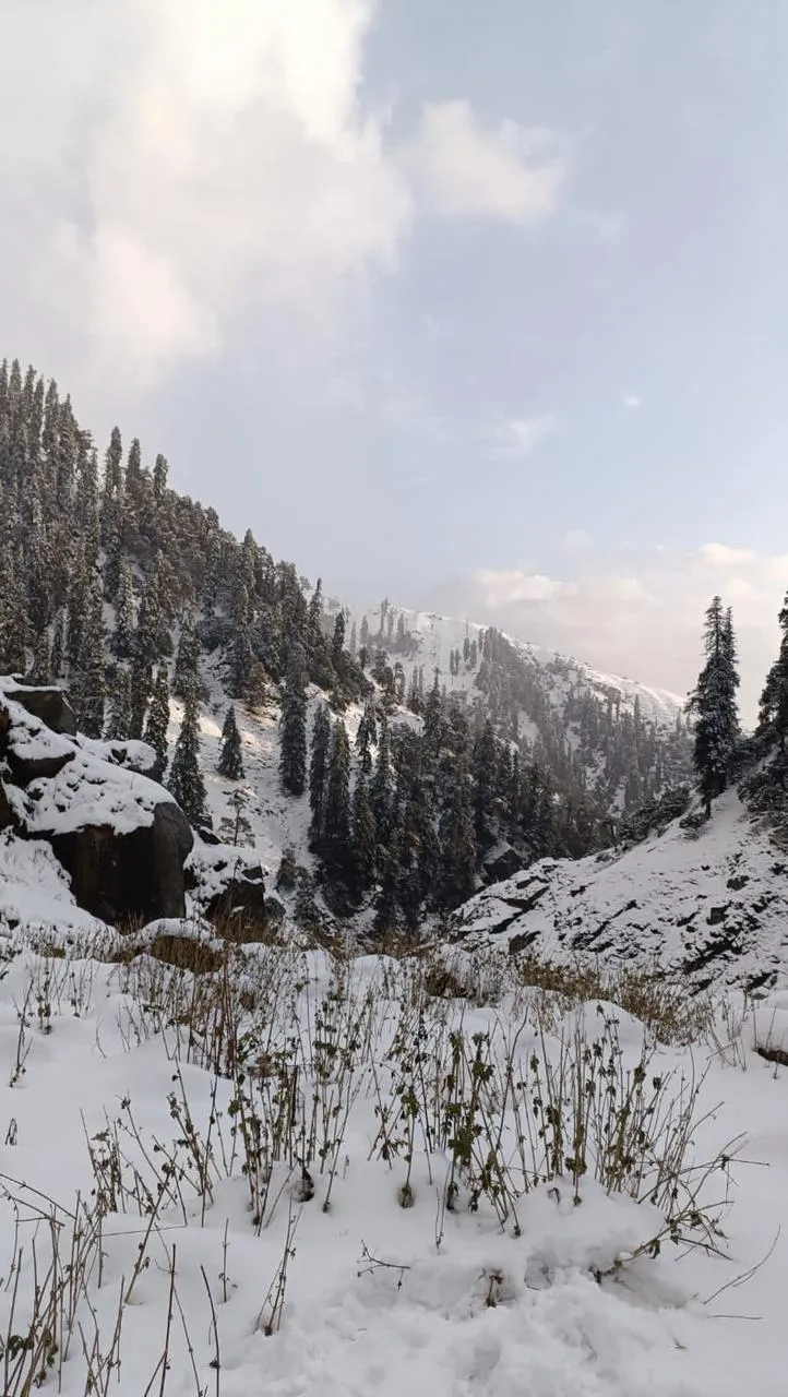 Kareri Lake Trek trek view 5 - Dharamshala region