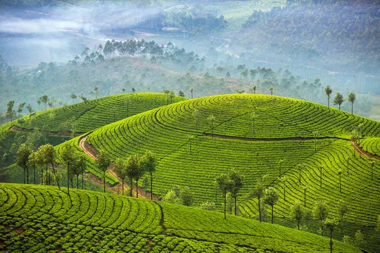 Kerala Short Break trek view 2