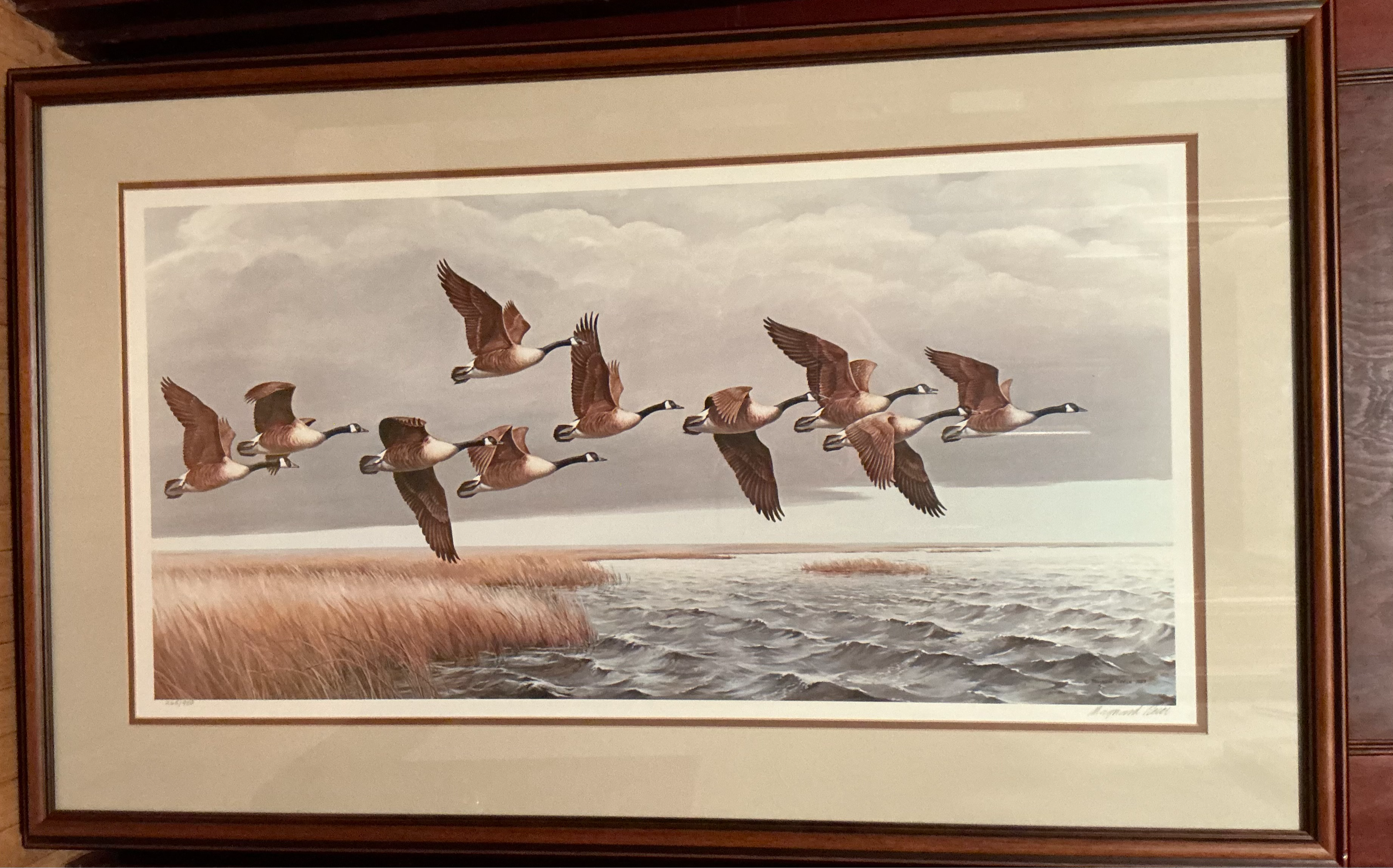 Over the Marsh - Canada Geese, by Maynard Reece