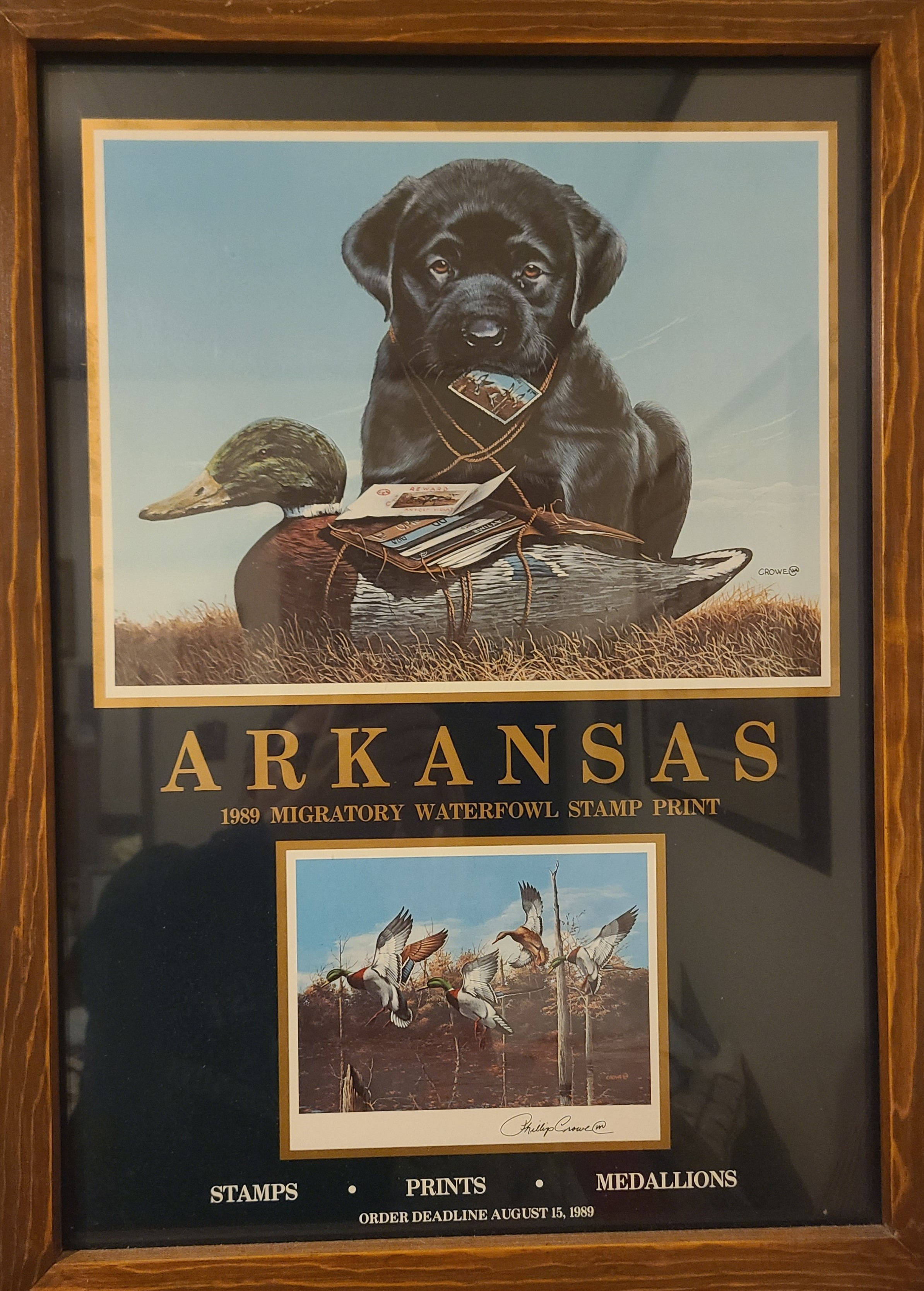 Stamps * Prints * Medalions - Arkansas 1989 MIGRATORY WATERFOWL PRINT