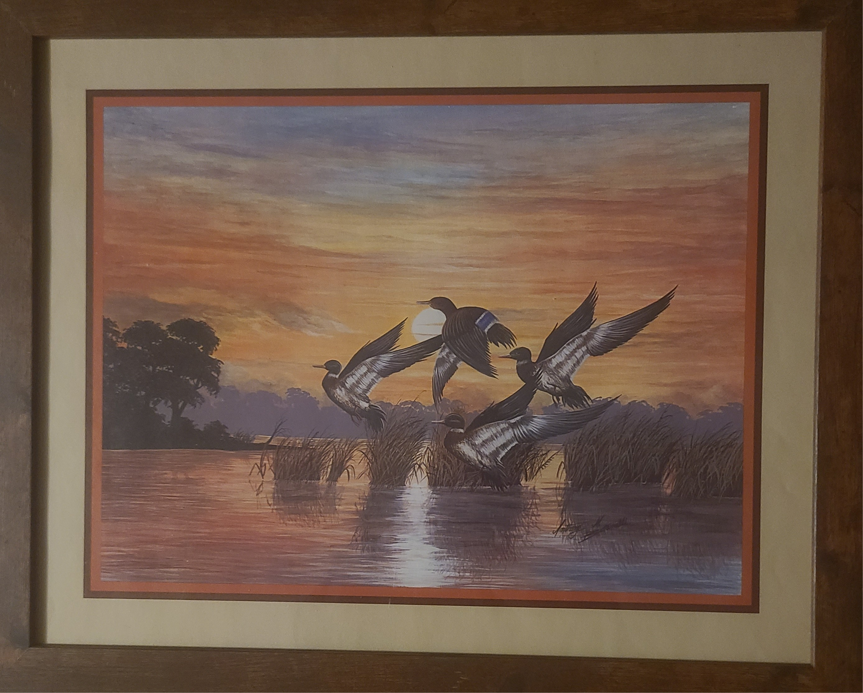 "Mallard Sunset" , Signed Print by Anthony M Bottenall