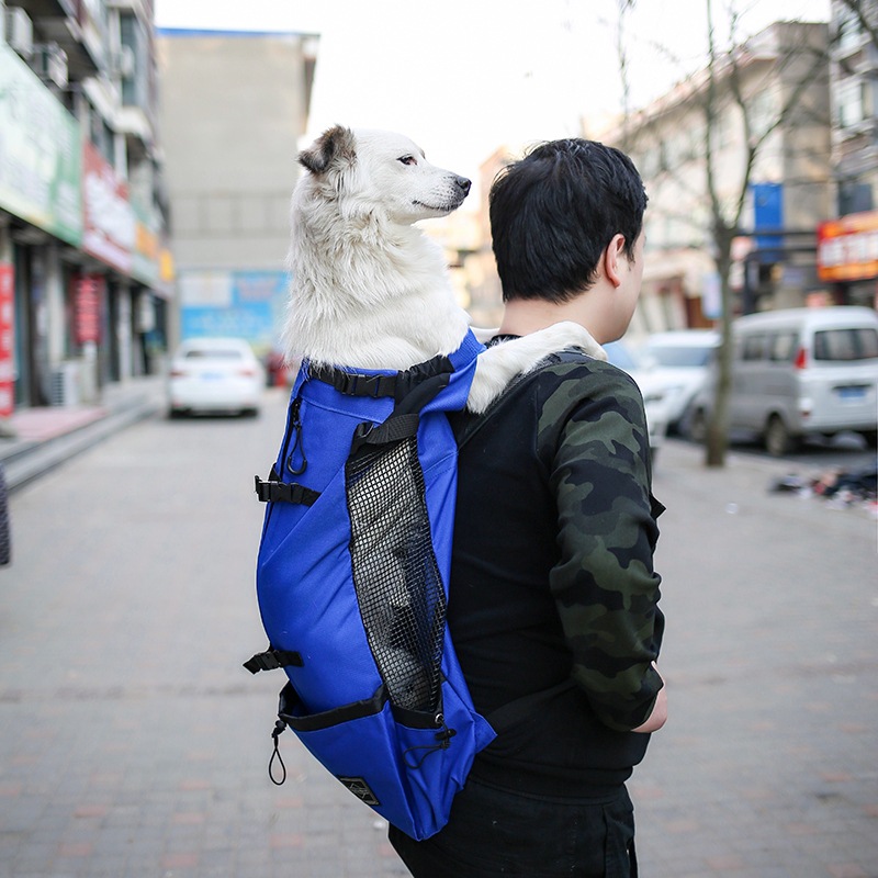 Pet Dog Carrier Bag Carrier For Dogs Backpack Out Double Shoulder Portable Travel Backpack Outdoor Dog Carrier Bag Travel — view 3