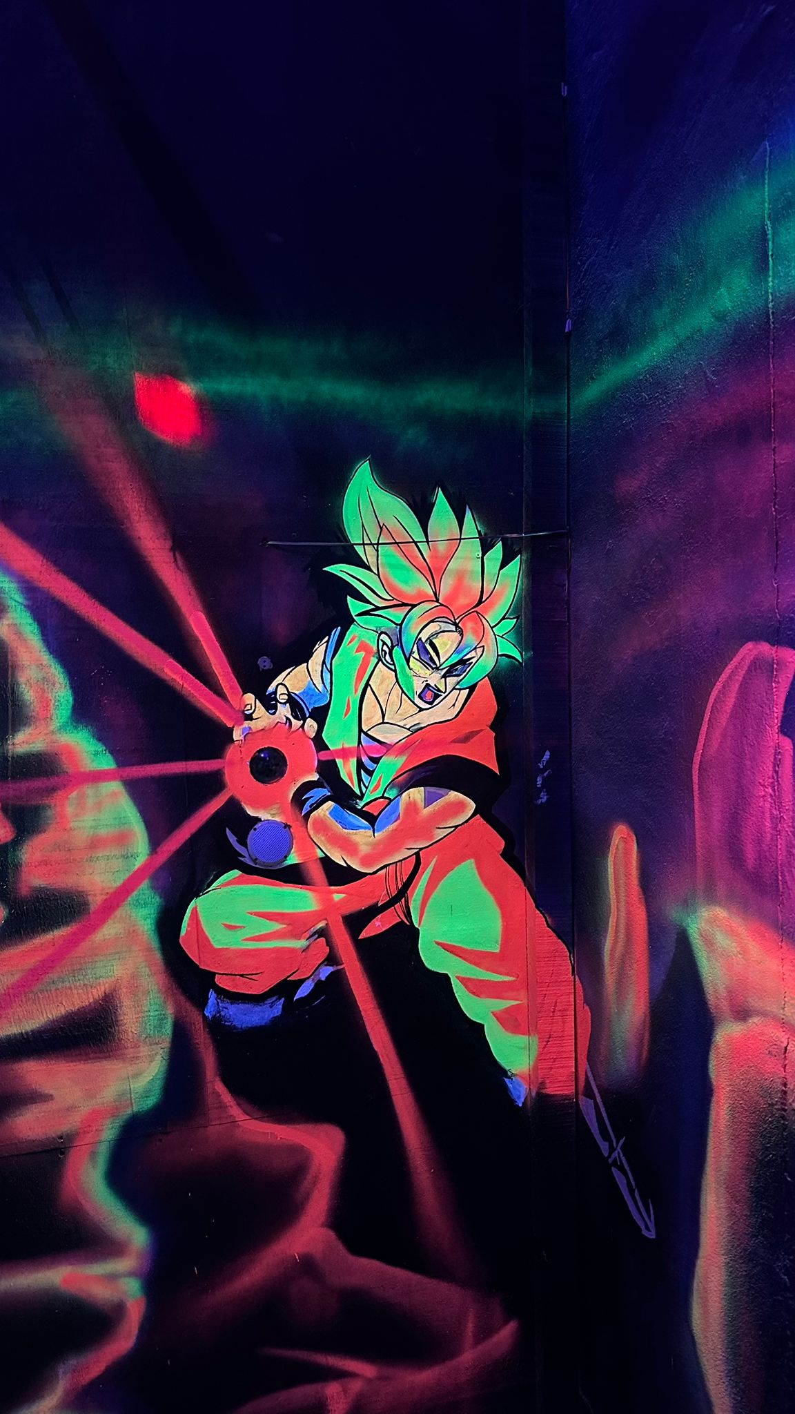 Laser Park Zone 4