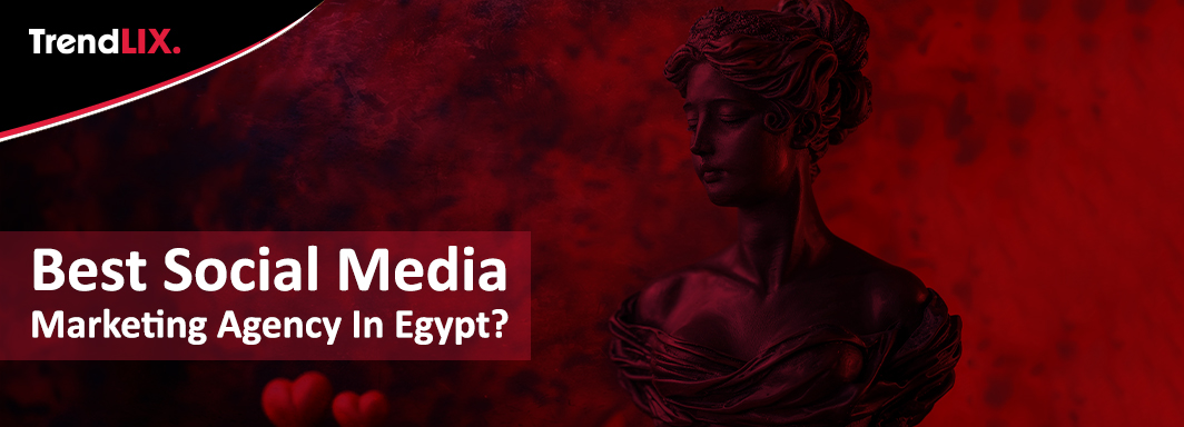 How to Choose The Best Social Media Agency