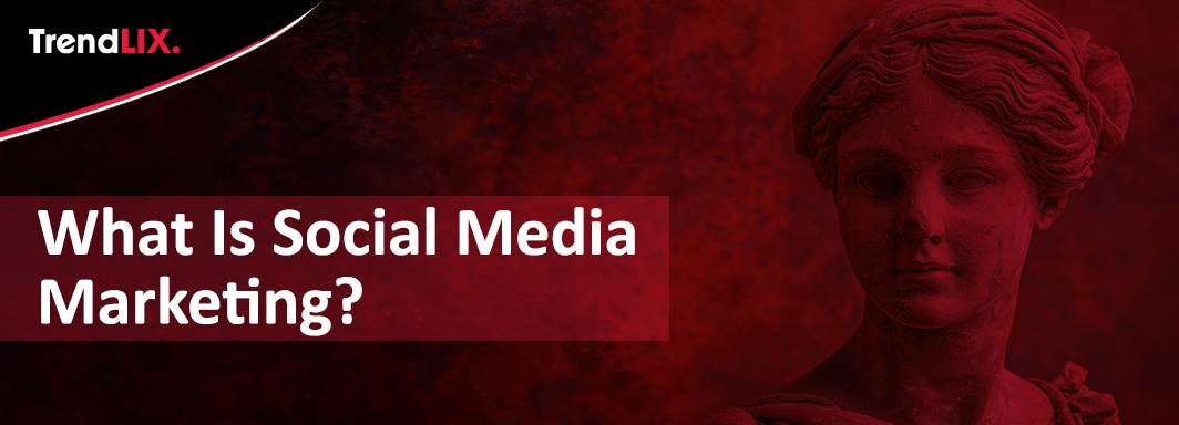 What is Social Media Marketing