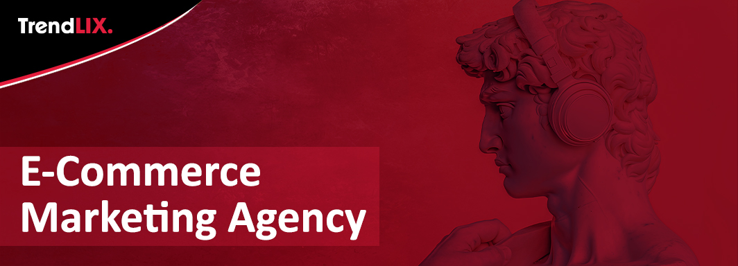 E Commerce Marketing Agency