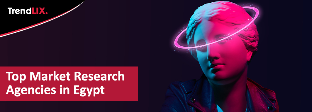 Market Research Agencies in Egypt