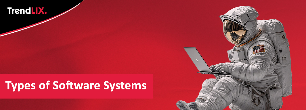 Types of Software Systems