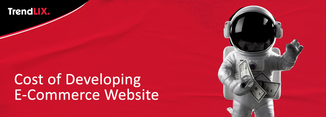 Cost of Developing E-commerce Website