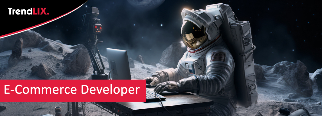 Hire Ecommerce Developer