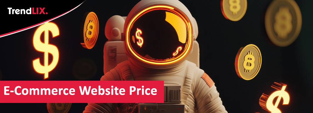 ecommerce website price