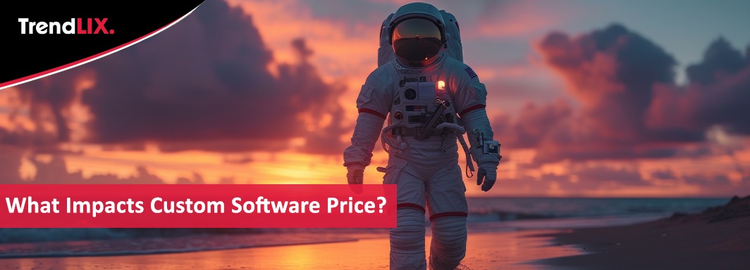 custom software price