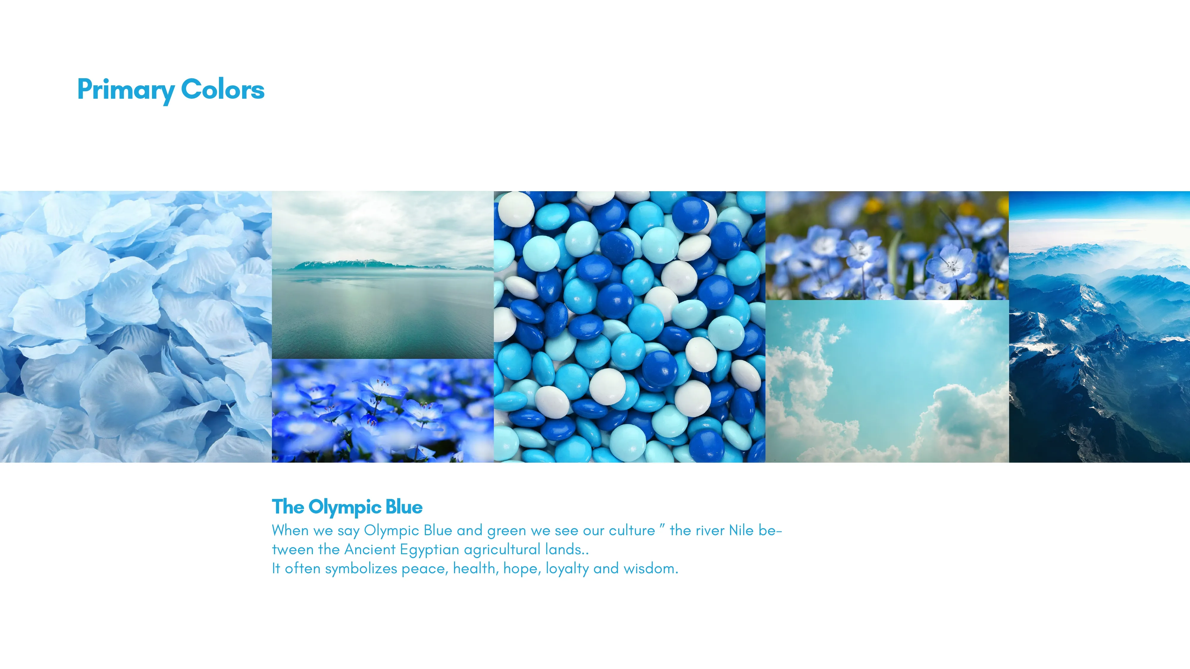 AFCMH Branding Project - Branding Agency