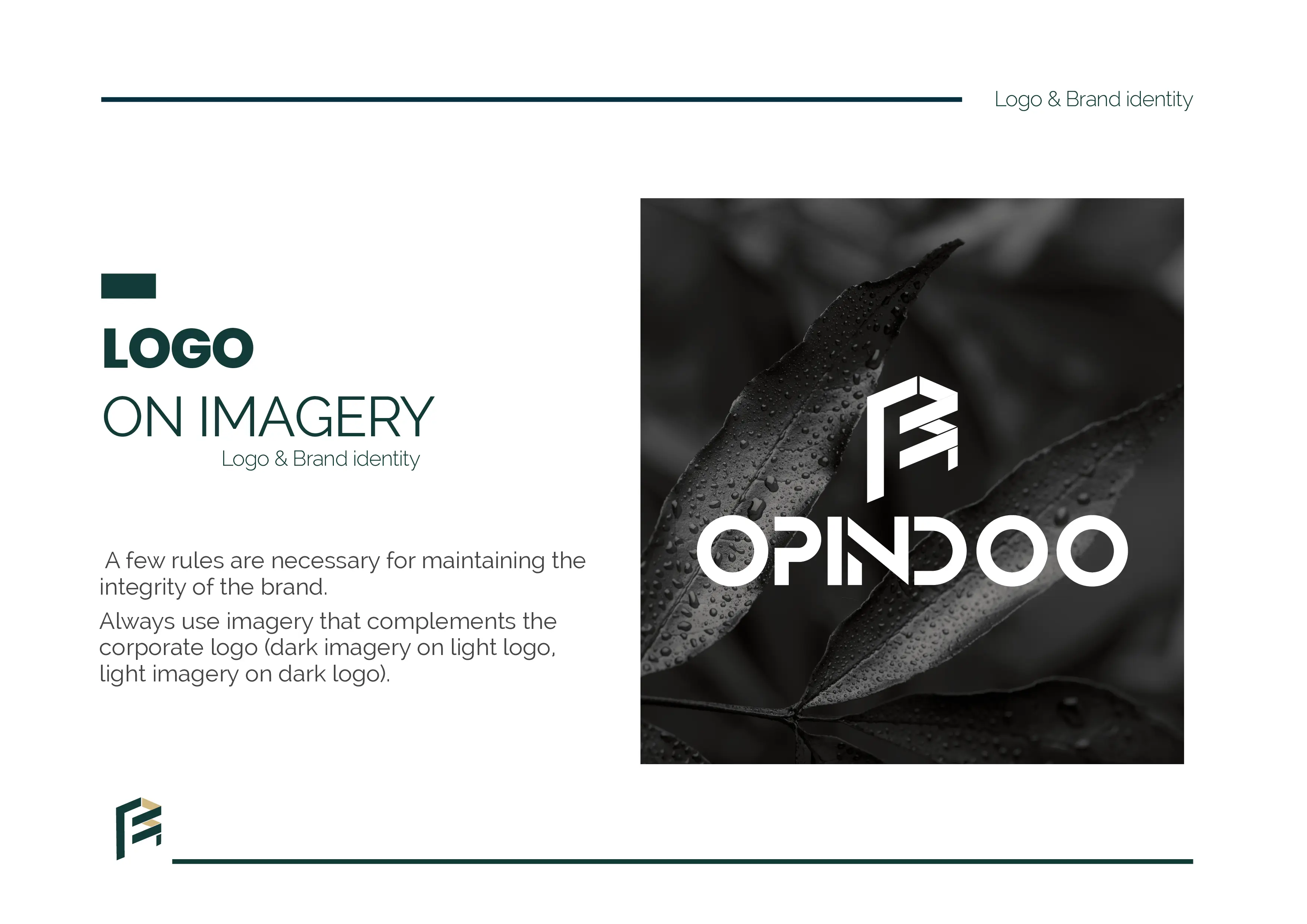 Opindoo Branding