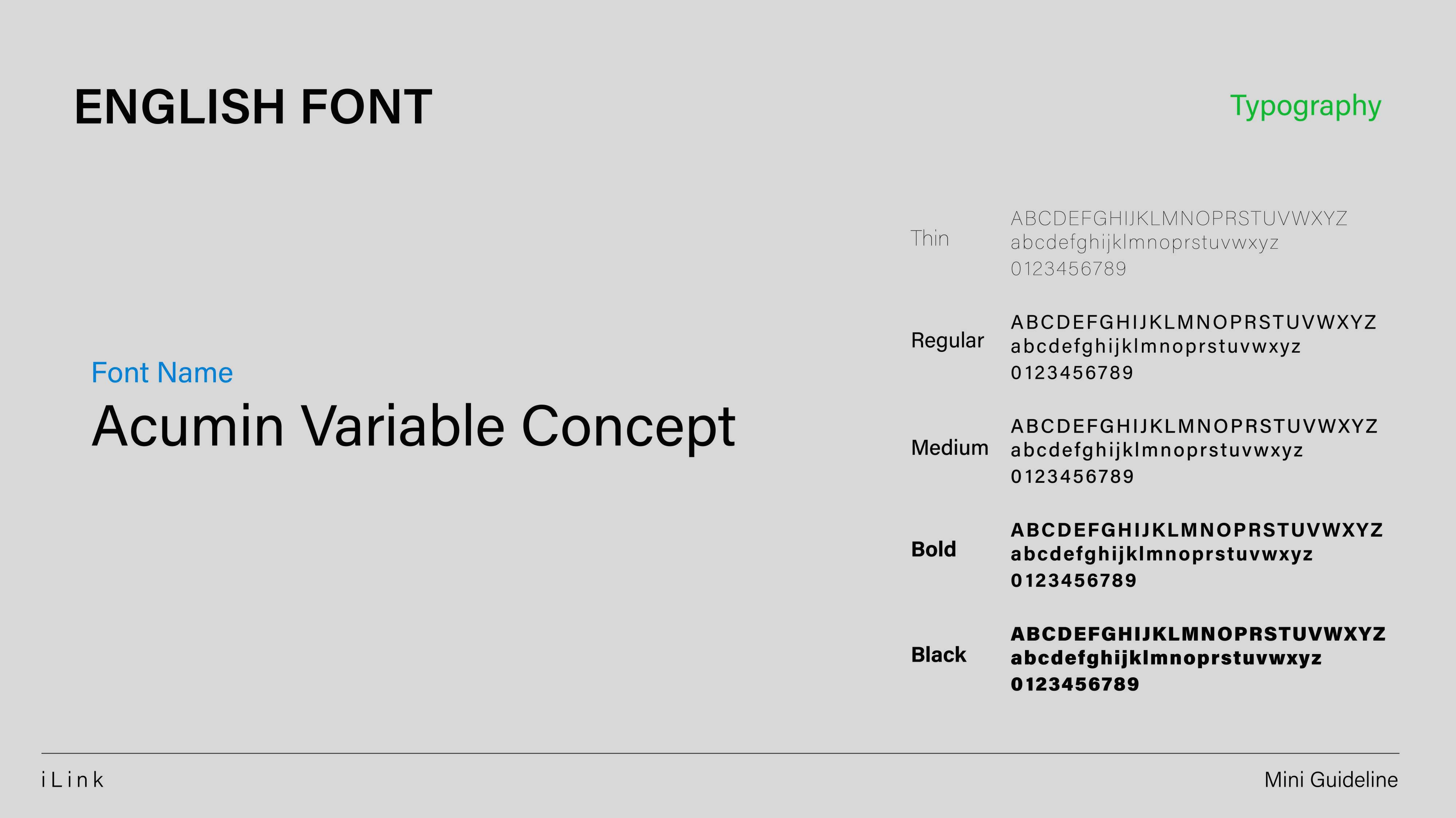 ilink Mini Brand Guidelines
