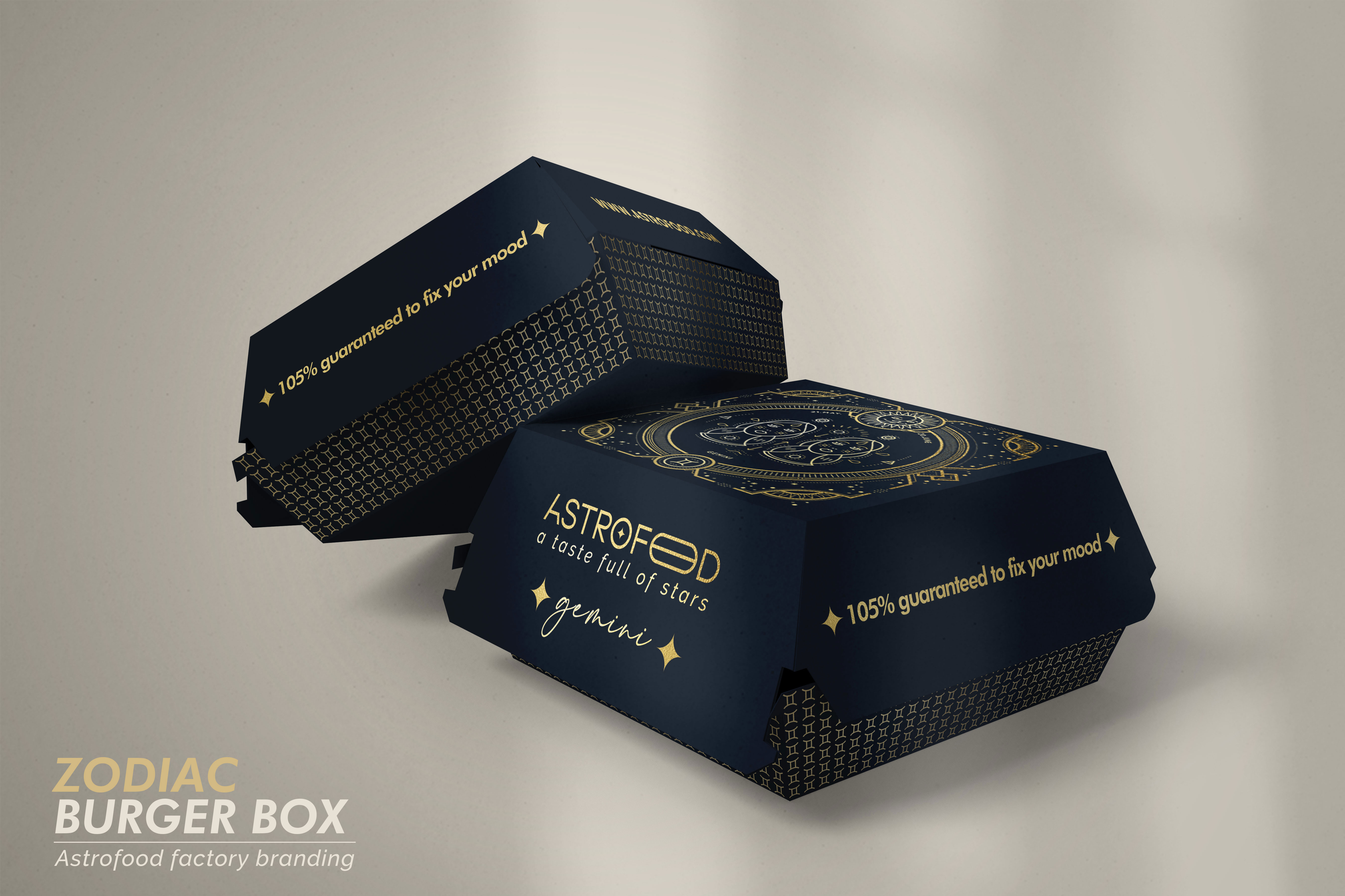 Astrofood Brand Guidelines