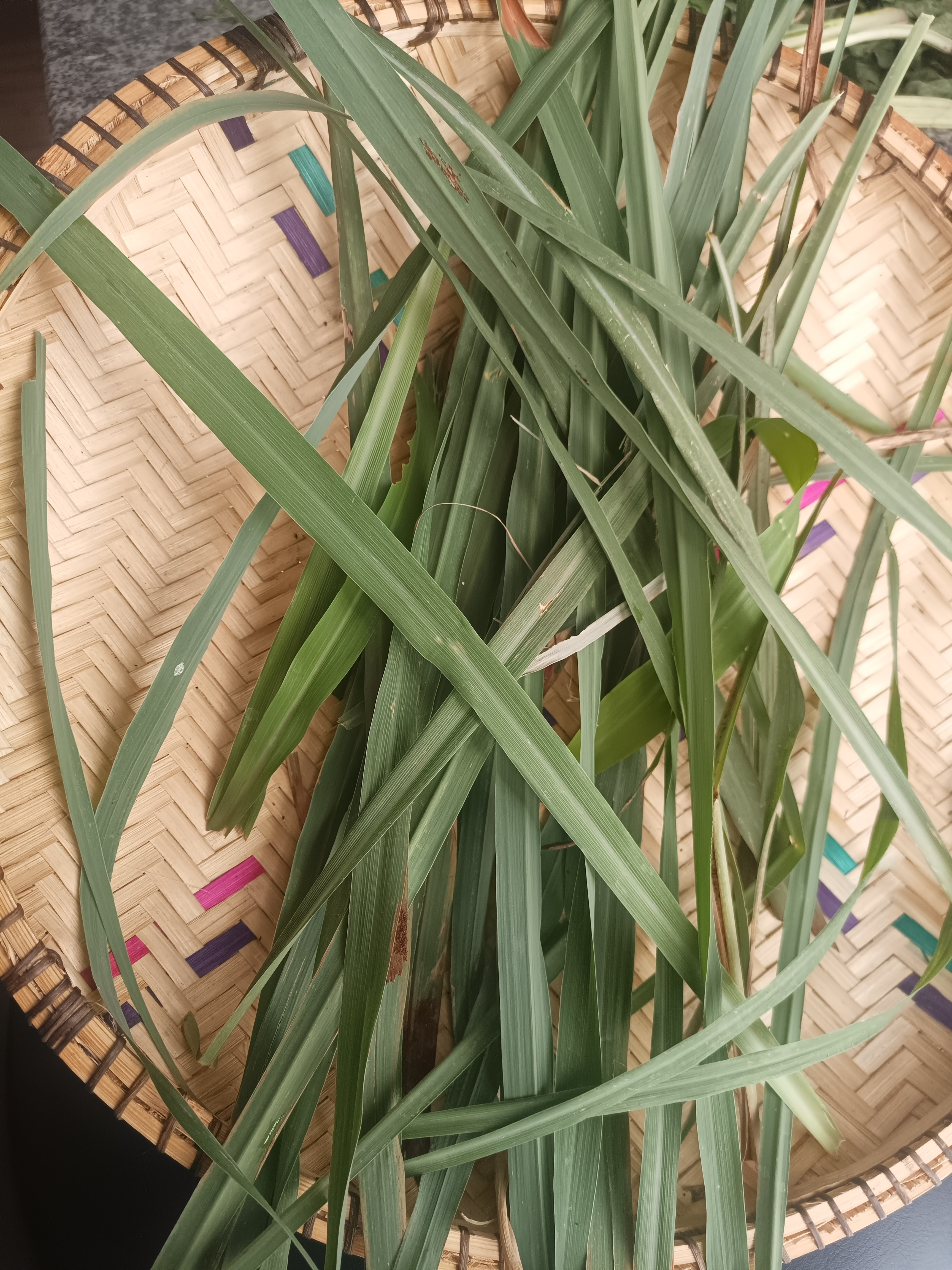 Lemongrass
