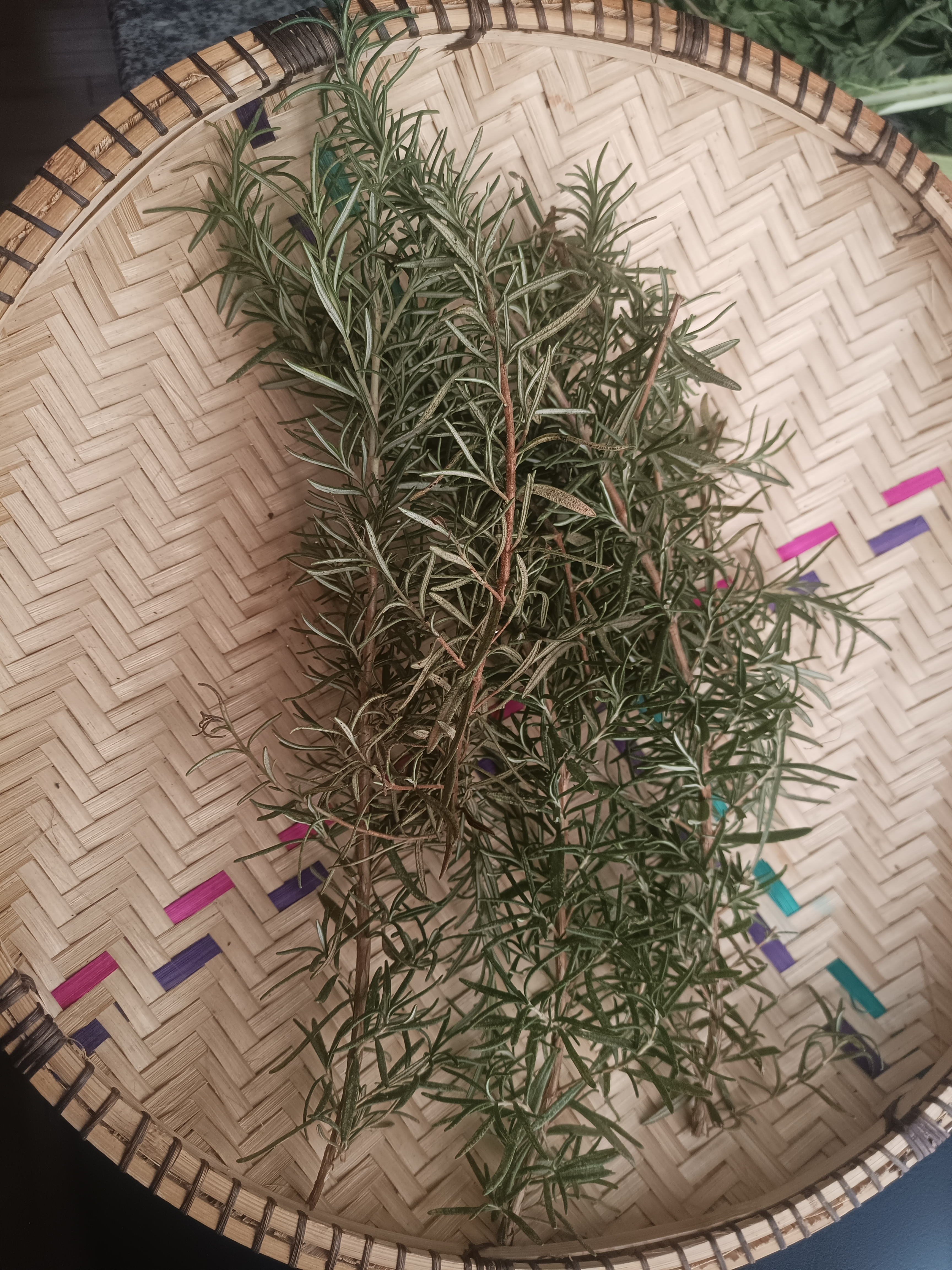 Rosemary