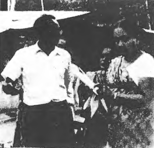W.A.V. Sinnathamby