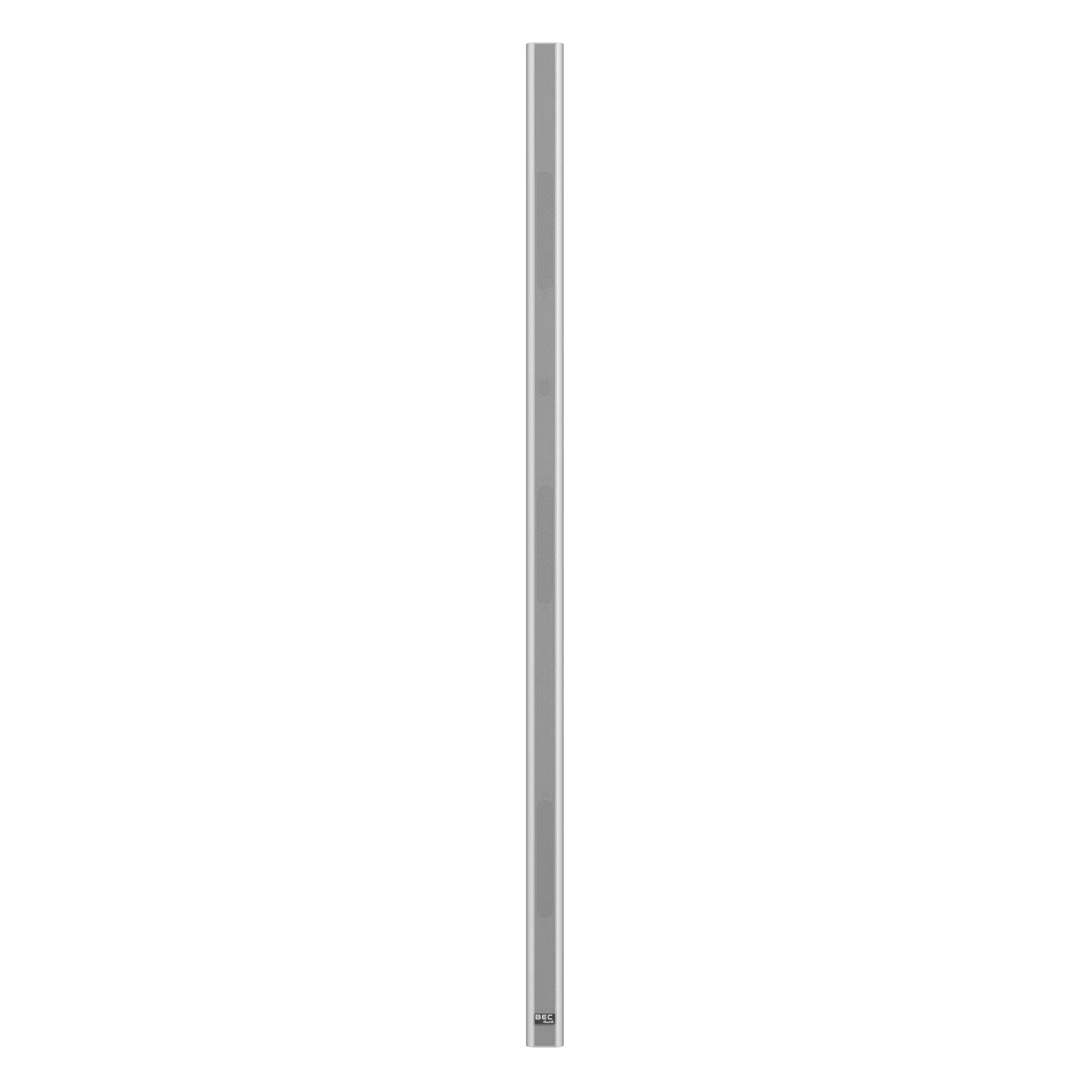 IC100 Silver 2