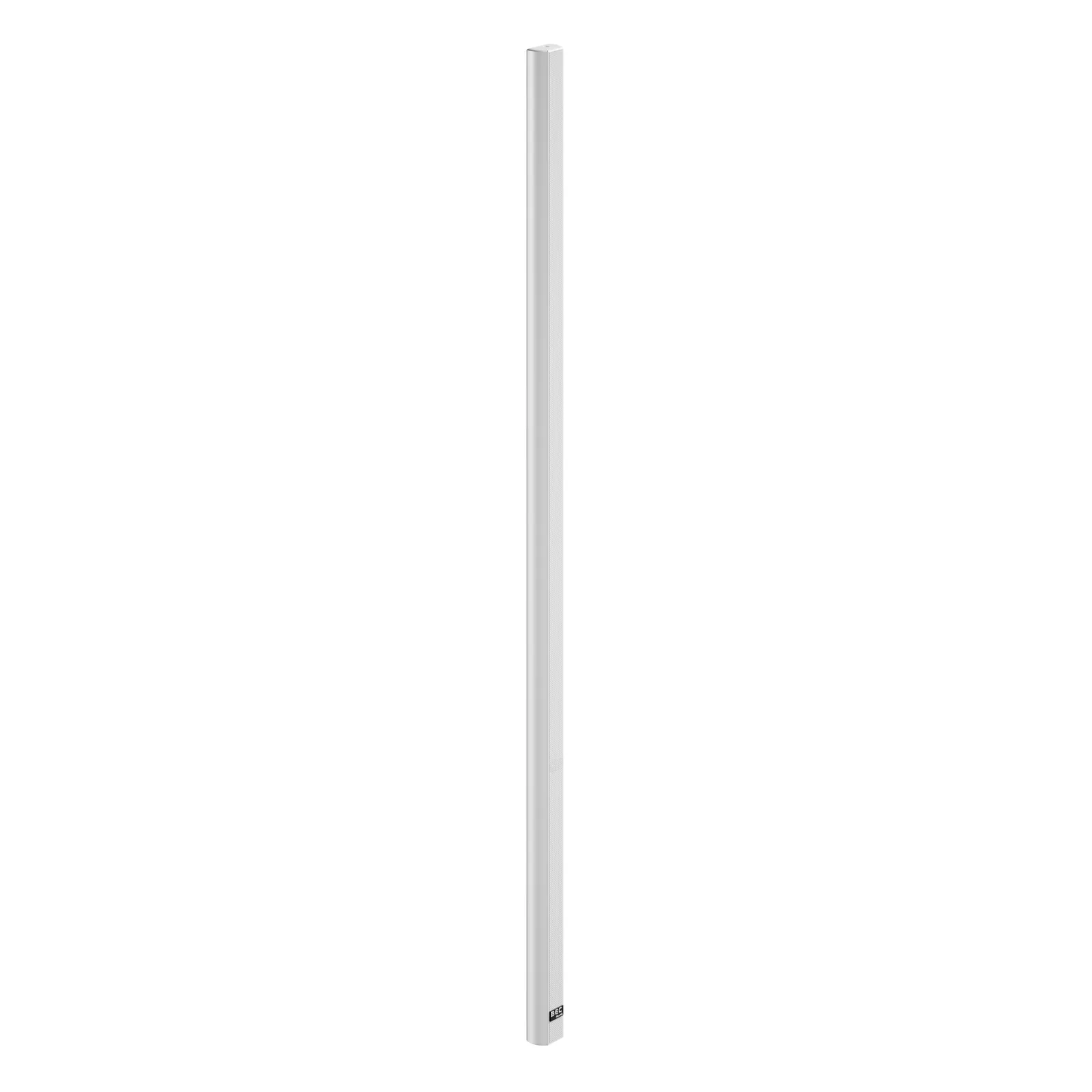 IC100 White