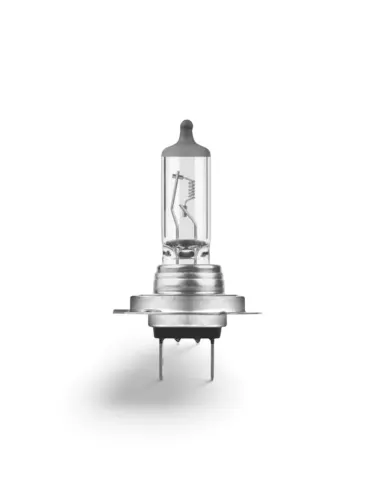 Bec H7 Halogen Neolux Standard 24V 70W