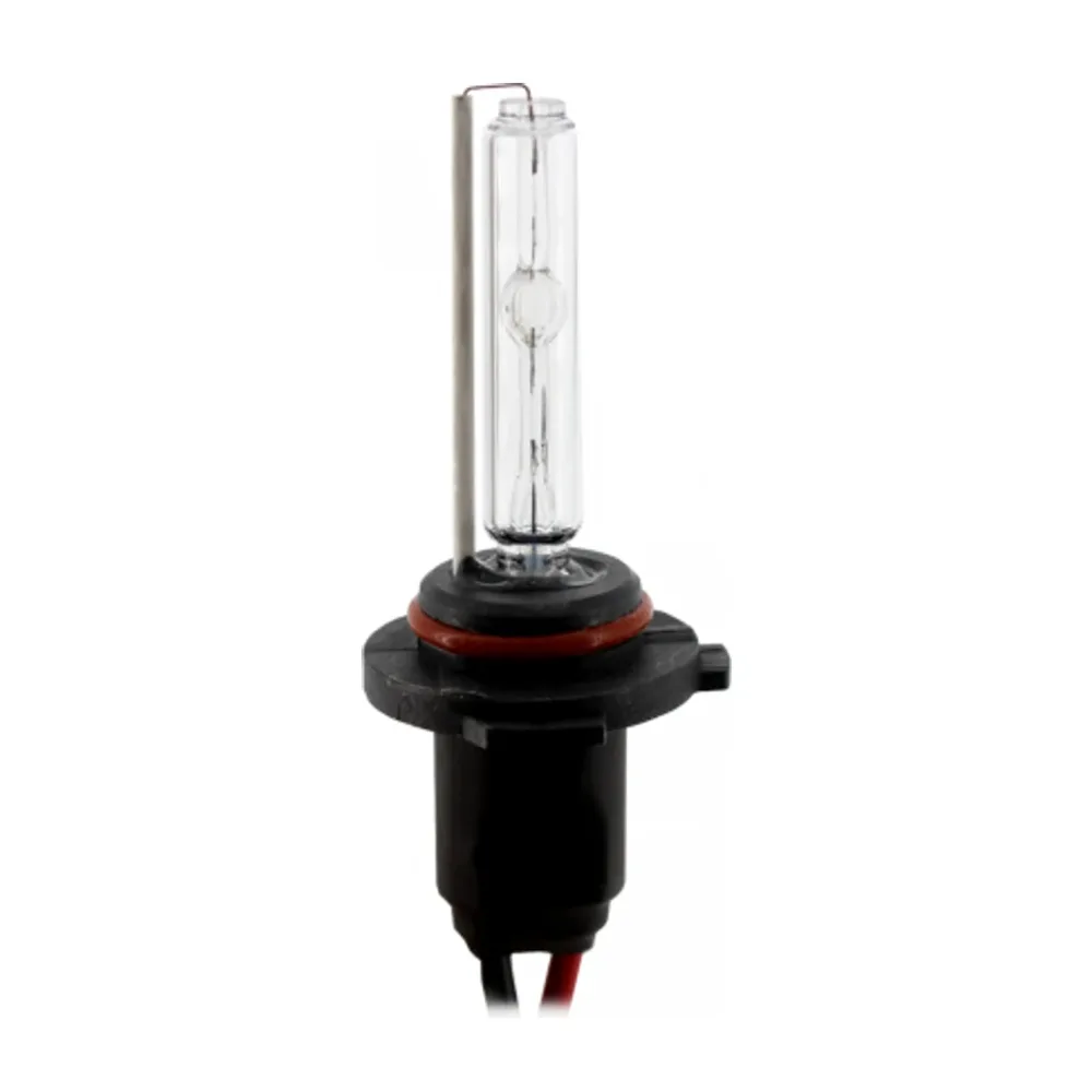 Bec Xenon H10-4300K Carguard