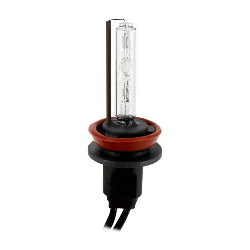 Bec Xenon H11-4,3K Carguard