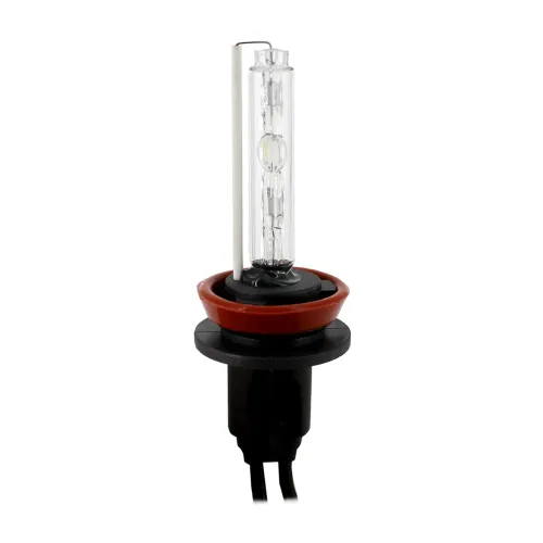 Bec Xenon H8-6000K Carguard