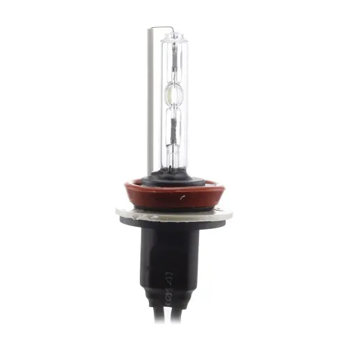 Bec xenon H9 6000K Carguard