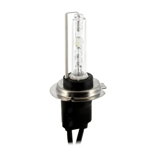 Bec Auto Xenon H7 6000K Carguard