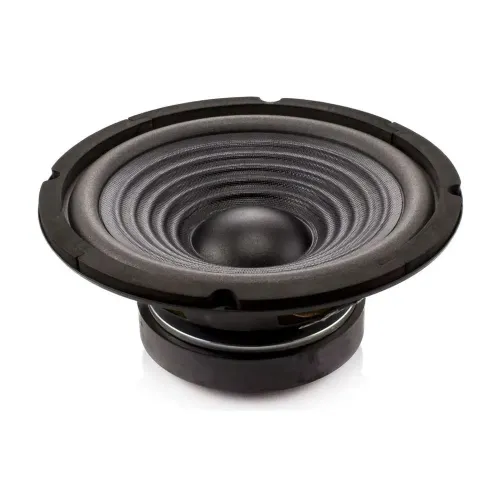 Difuzor HI-FI Home 8" (203 mm) 100/200W / 8 Ohm Carguard