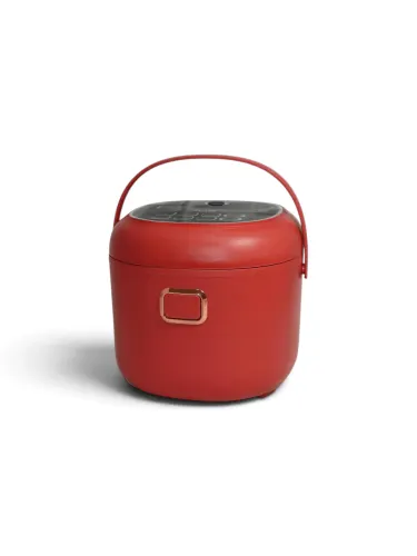 Oala multifunctionala, multicooker pentru camion, camping, 2L, 12-24V, rosu, BAM AKC086