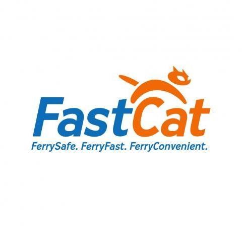 Fast Cat