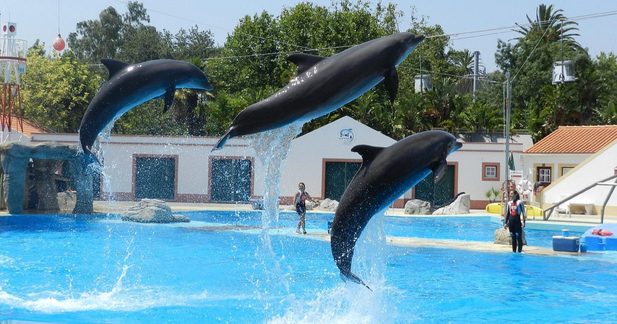 Jardim Zoológico de Lisboa