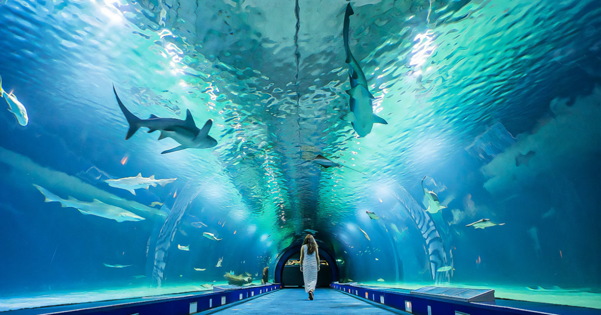 Oceanário de Lisboa