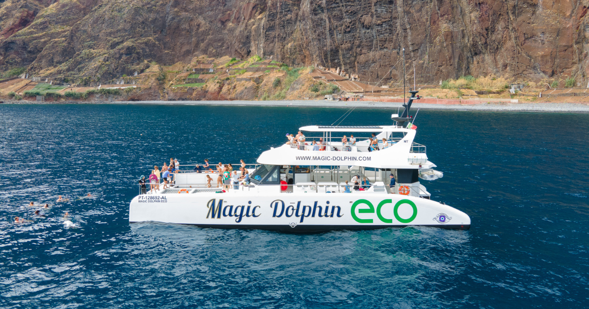 Magic Dolphin