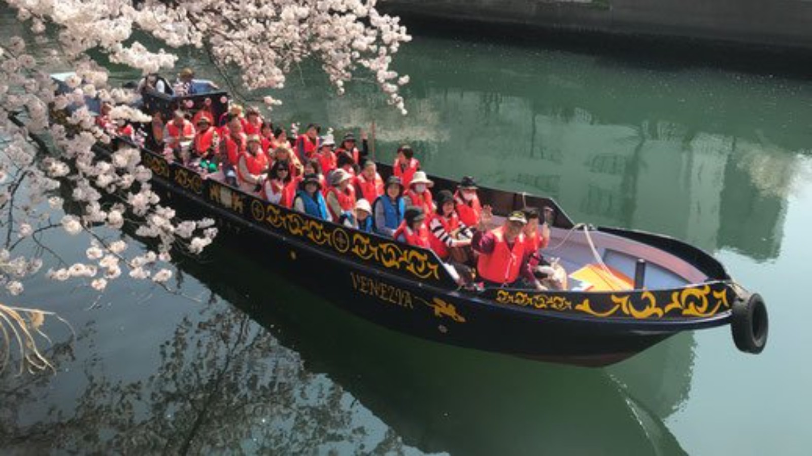 【横浜でお花見クルーズ】みなとみらいも桜も楽しめちゃう横浜満喫の春爛漫クルーズ