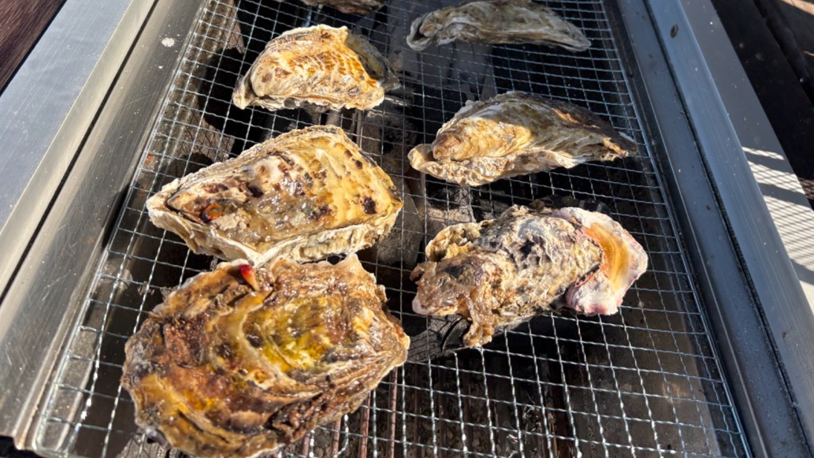 アクアラインで“近い南房総”へ海鮮BBQの旅
