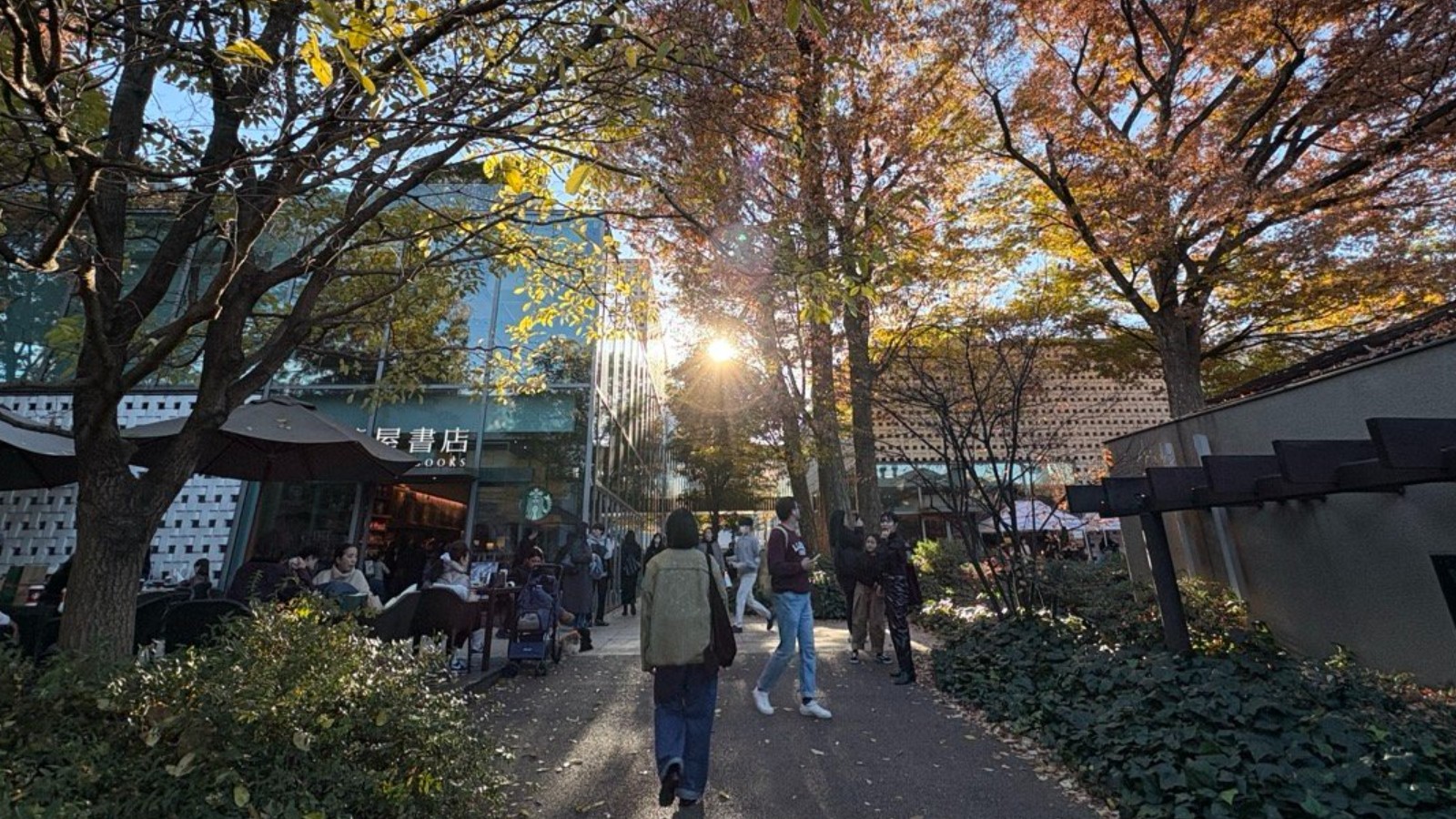 【代官山】作業が捗るカフェ3選。代官山の独特な雰囲気はなんだろう...
