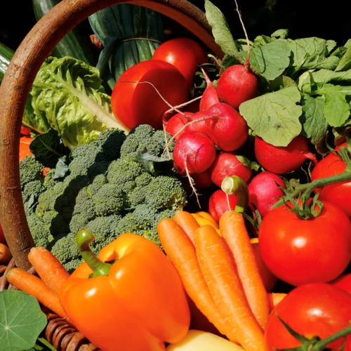 The local produce and consumption boom: revolutionise your business