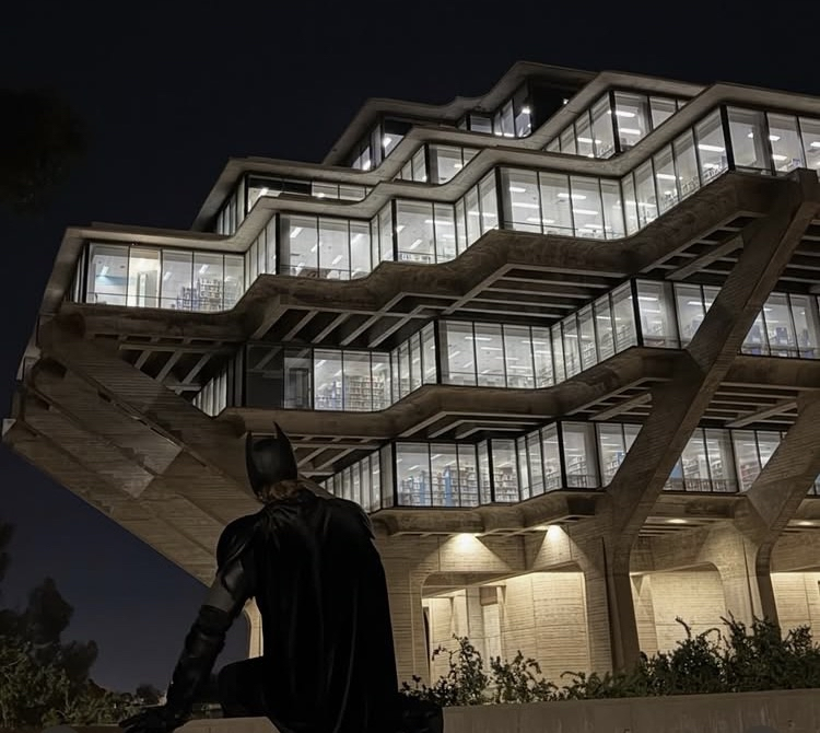 The Shadows Are About To Clear: Who is UCSD Batman?