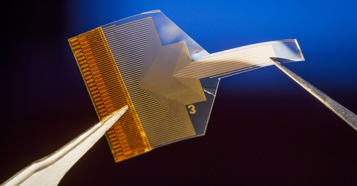 UC San Diego Builds Next-Generation Brain Implants and Resilient Materials